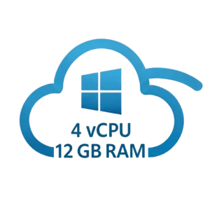 RDP Windows 4 Core 12 GB RAM