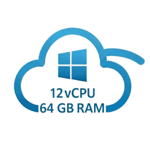 RDP Windows 12 Core 64 GB RAM