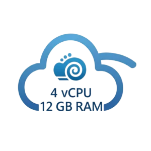 RDP Linux 4 Core 12 GB RAM